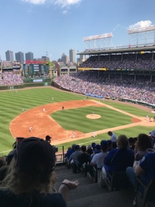 View from the "Nose-Bleeds"